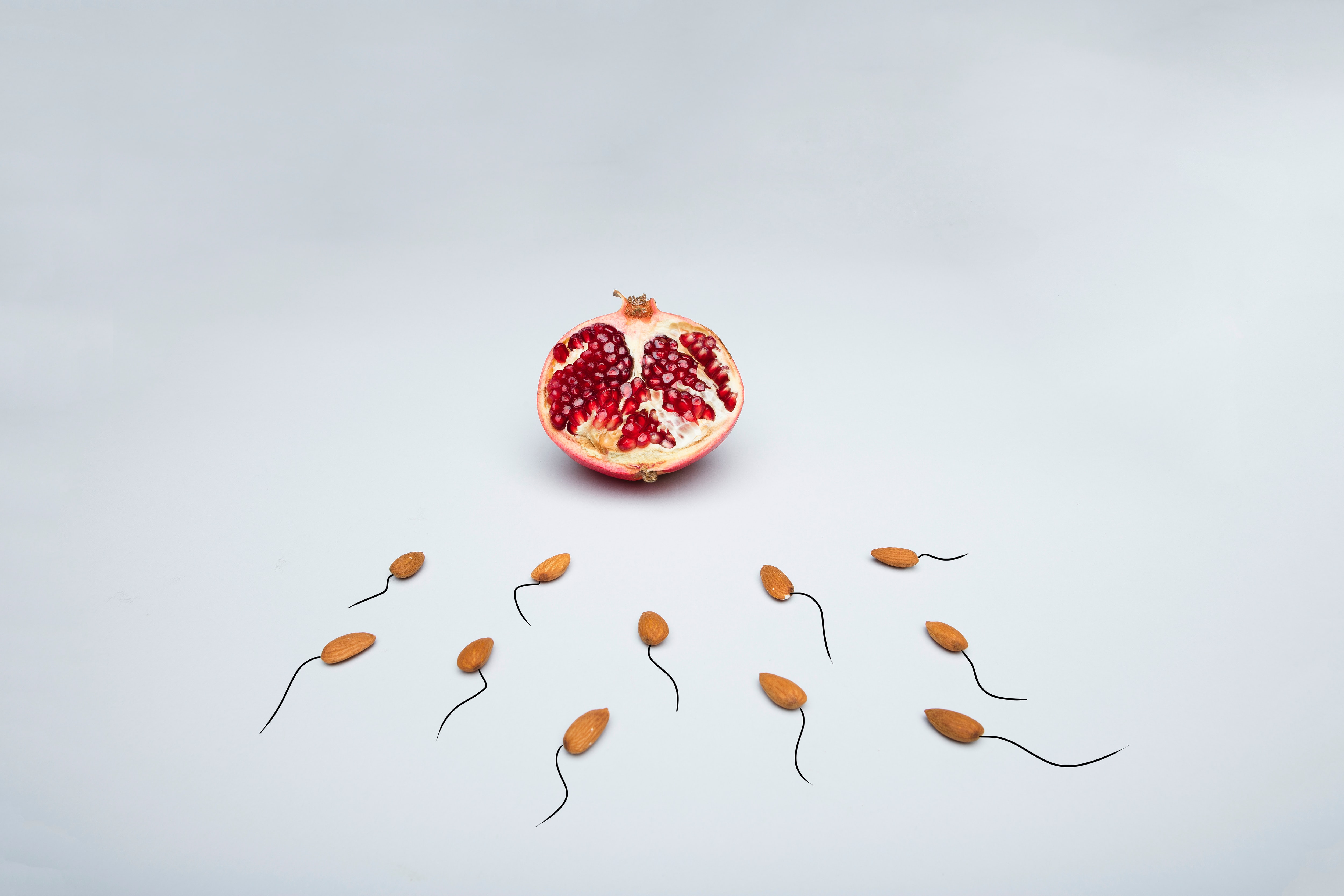 Ein Granatapfel und mehrere Mandeln symbolisieren eine Eizelle und einige Spermien