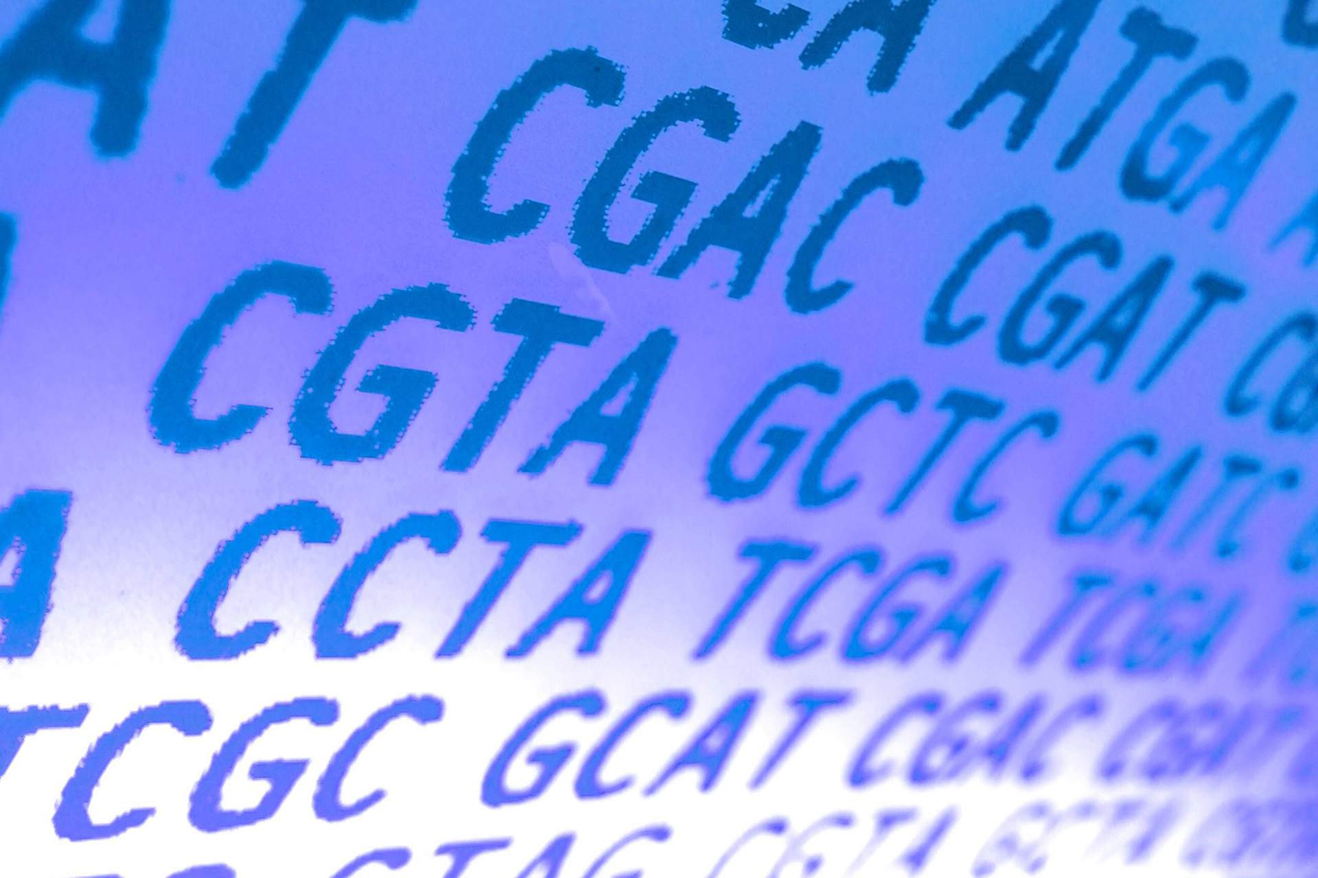 DNA-Bausteine ACGT auf einem Bildschirm