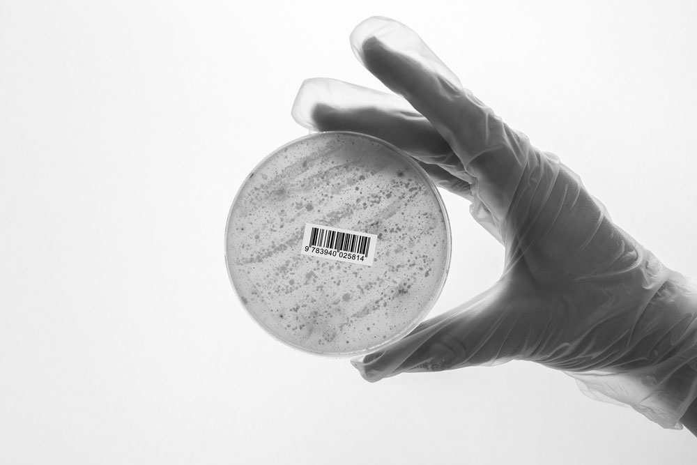 Eine behandschuhte Hand hält eine runde Petrischale vor einem hellen Hintergrund. Auf der leicht getrübten Oberfläche der Schale ist ein kleiner Barcode-Aufkleber angebracht.