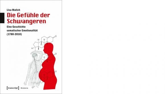 Cover: Die Gefühle der Schwangeren