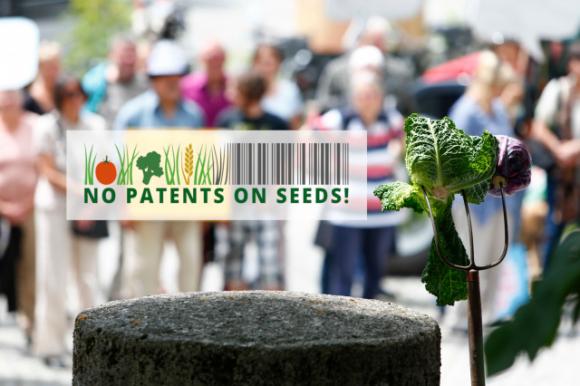 no patents on seeds bild kohl