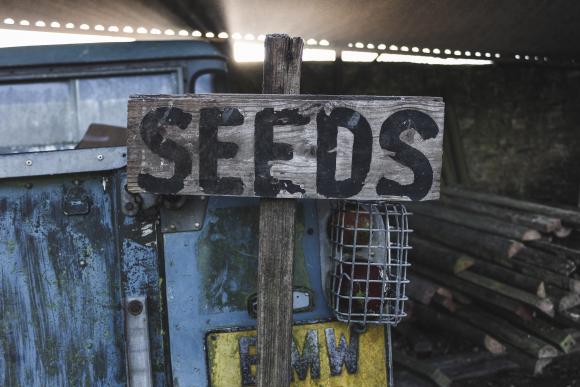 Schild Saatgut Seeds