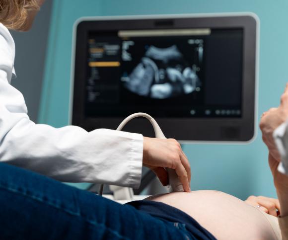 Ärztin führt Ultraschall-Untersuchung bei einer Schwangeren durch, Monitor zeigt pränatales Bild.