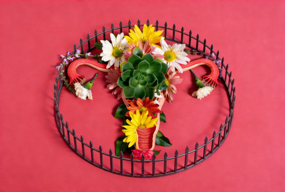 Gebilde aus Blumen und grünen Blättern in Form einer Gebärmutter, umgeben von einem schwarzen Zaun auf rotem Hintergrund